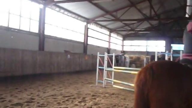 kuba i zeus parkur 1m смотреть онлайн