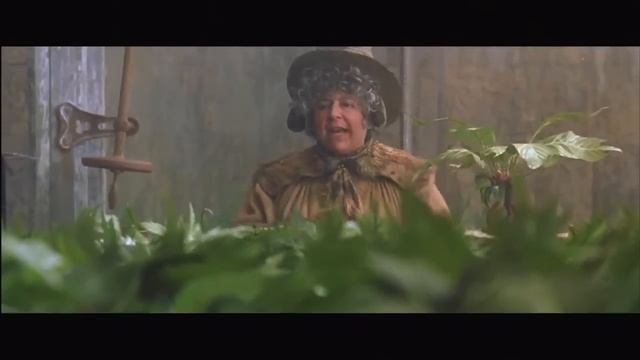 Mandrakes in Herbology смотреть онлайн