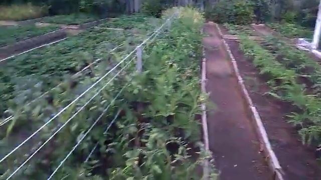 04.07.2016 Дача смотреть онлайн