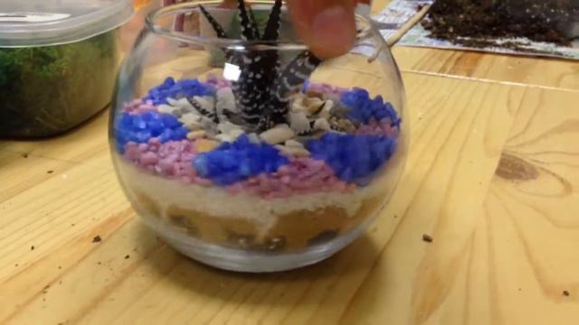 ФЛОРАРИУМЫ ) Красивое Время Проведение!!! смотреть онлайн