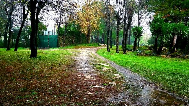 Uykusuzluk Için Yağmur Sesi | Hızlıca Uyumak Yağmur Sesi