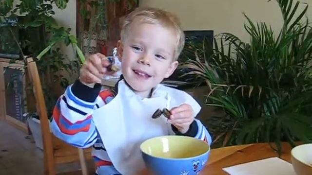 Наглядное пособие по поеданию мидий