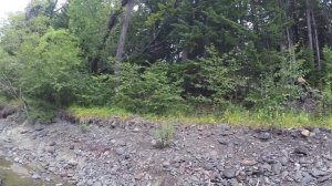 Заброшенный поселок Загорный, остров Сахалин №11