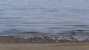 Байкал Весной. Гуляем, наслаждаемся Красивой Природой 🌼🌾🌼