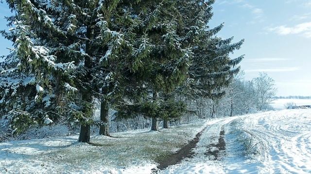 Зимняя сказка. смотреть онлайн