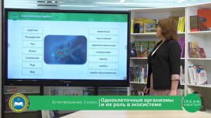 5 класс. Естествознание. Одноклеточные организмы и их роль в экосистеме. 24.04.2020.