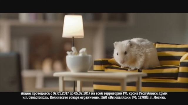 Аdvertising Реклама Билайн Интернет для хомяка смотреть онлайн