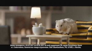 Аdvertising  Реклама Билайн   Интернет для хомяка