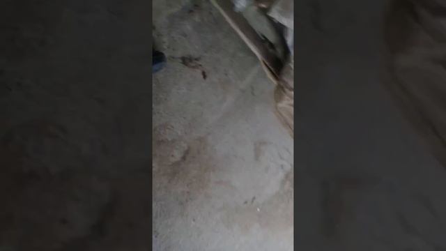 Как легко намотать нитки ( шпагат ) для подвязки! Лайвхак для теплиц! смотреть онлайн