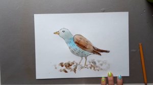 Урок ИЗО. Рисуем птиц