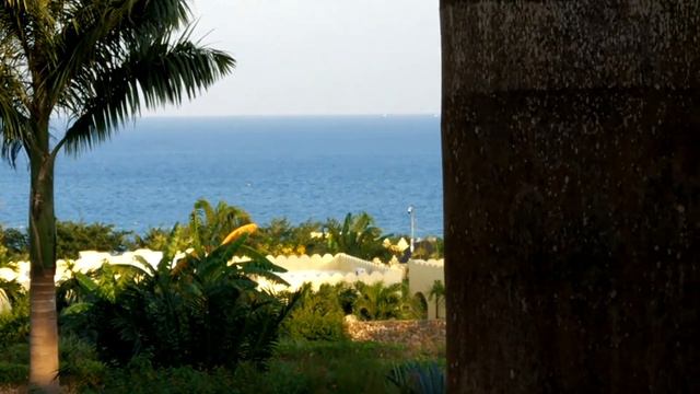 Парк отеля Riu Zanzibar. Вид на Индийский океан. смотреть онлайн