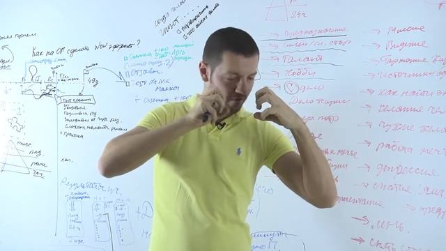 05 Как найти смысл и своё место в жизни ЛЮБИМОЕ ДЕЛО смотреть онлайн