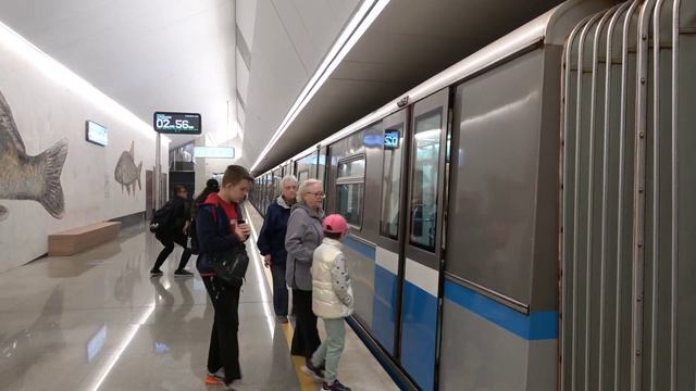 Parade Of Trains In The Moscow Metro
