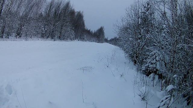 охота на зайца 2022 смотреть онлайн