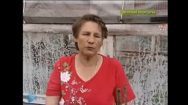 Подкормка томатов смотреть онлайн