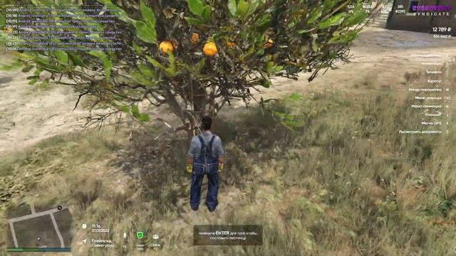 Dubrovskiy Syndicate (GTA V RP) | ФЕРМА, КОТОРАЯ ДЕЛАЕТ ДЕНЬГИ! смотреть онлайн