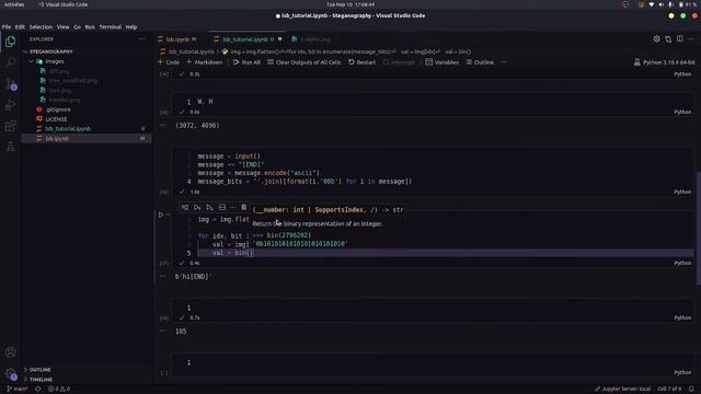 LSB Steganography Python tutorial. смотреть онлайн