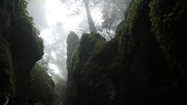 Шум дождя для сна, от бессонницы - дождь для расслабления и медитации, Звук дождя для сна смотреть онлайн