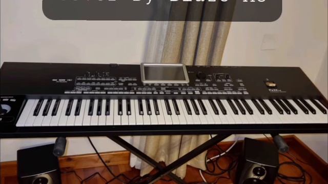 Euphoria - Loreen cover (Korg pa3x Le) смотреть онлайн
