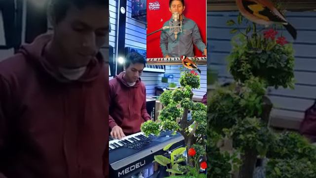 MEDELI AKX10 🎹 demostración Ritmo de Talento divino смотреть онлайн