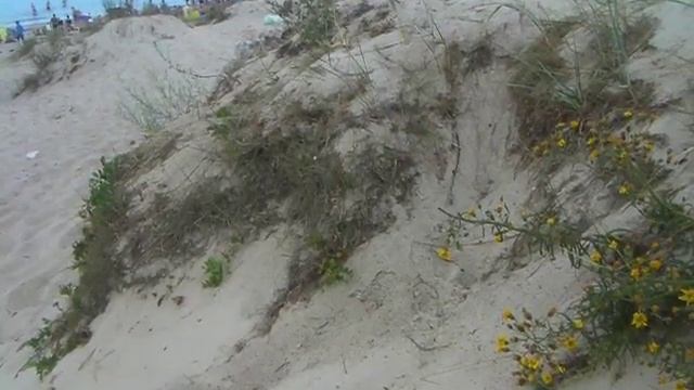 Сколько песка - столько успеха! смотреть онлайн