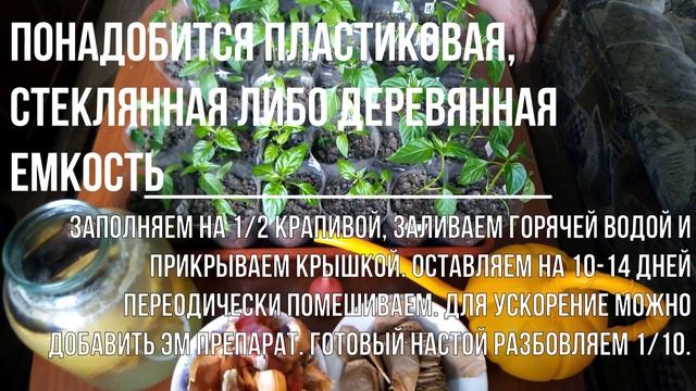 Перец!!! Подкормка рассады!!! Без химии! смотреть онлайн