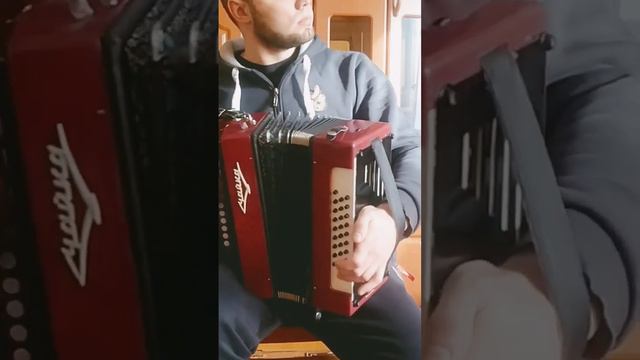 гармонь чайка!гармун смотреть онлайн