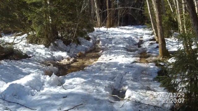 Квадроцикл рм 800, начало сезона. смотреть онлайн