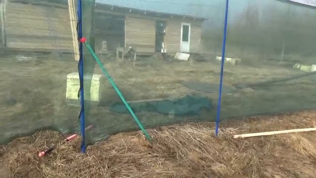 Забор вокруг пасеки из фасадной строительной сетки 80гр метр кв. смотреть онлайн