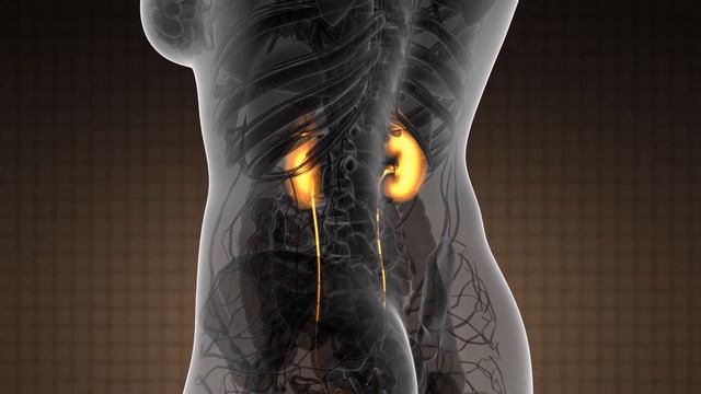 Was ist das spezifische Gewicht des Urins? смотреть онлайн