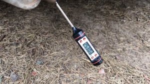 Китайская автономка 8. Температура выхлопа. Подожжем траву?