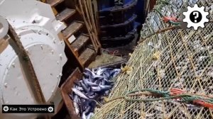 Так Ловят Рыбу в Промышленных Масштабах! Как Это Устроено_
