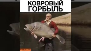Ковровый горбыль прикол