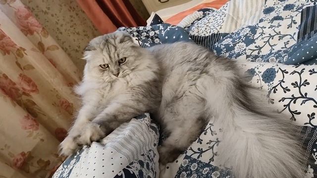 Вышивальная неделя 16-24 апреля 2022 года. Летние и зимние сюжеты в вышивке. смотреть онлайн