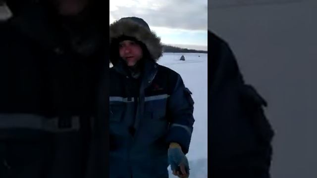 Лайфхак, как правильно кормить синичек смотреть онлайн