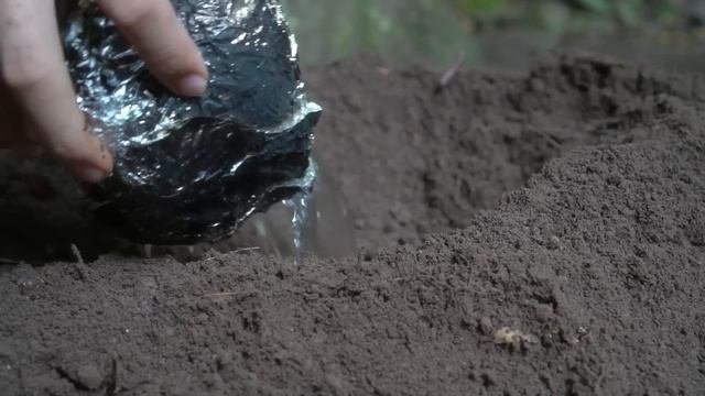 Anna Bushcraft, Survival With Storms And Thunder In The Rainforest - Start Green Forest Life