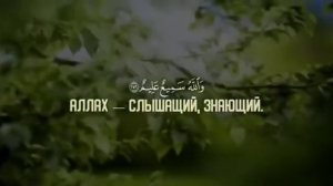 АЯТ АЛЬ-КУРСИ / СААД АЛЬ-ГАМИДИ