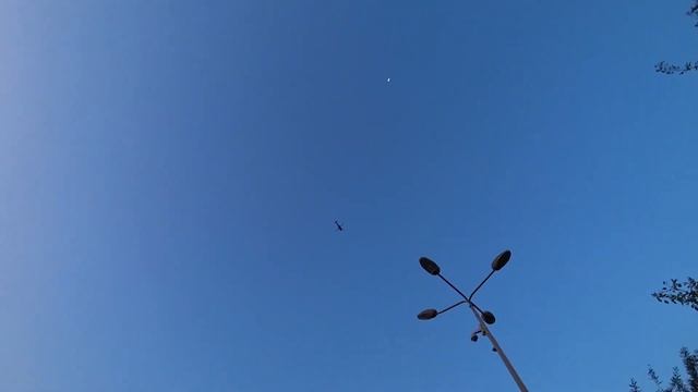 Vlog. Парк Лахиш в Ашдоде. Зоопарк. Ашдод. Семейная прогулка. Жизнь в Израиле. Семейный Влог. смотреть онлайн
