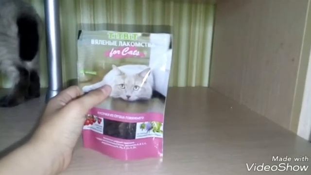 Перевожу кота на натуралку. смотреть онлайн