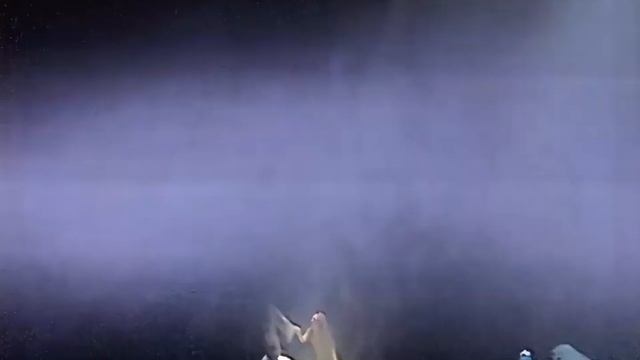 Нотр-Дам де Пари / Notre Dame de Paris - 1998г. смотреть онлайн