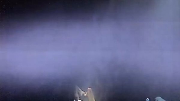 Нотр-Дам де Пари / Notre Dame de Paris - 1998г.