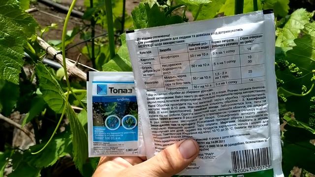 ? Самая ВАЖНАЯ ВТОРАЯ обработка виноградника перед цветением. Виноградник без болезней. смотреть онлайн