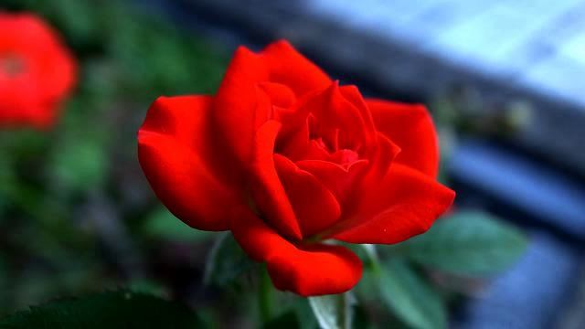 Слушать самую новую русскую музыку в машину онлайн смотреть онлайн