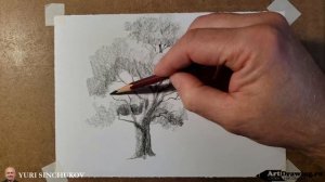 Как нарисовать дерево карандашом поэтапно