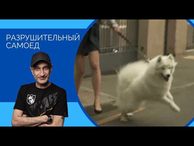 Неконтролируемая энергия (Разрушительный самоед) смотреть онлайн