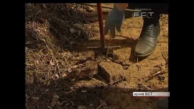 «Посади дерево подари планете жизнь» присоединись к зеленому десанту смотреть онлайн
