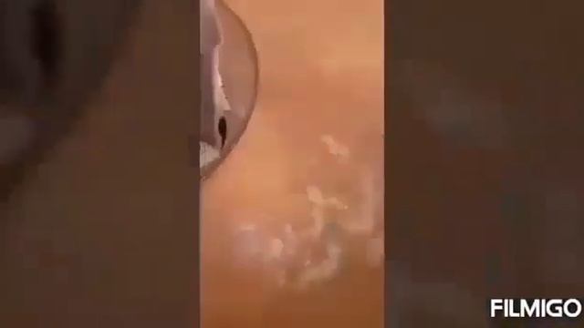 Таджикский блюда Оши бурида. смотреть онлайн