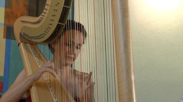 Josef Tal (1910-2008): Lament for cello and harp(arranged Guy Ben-Ziony) смотреть онлайн