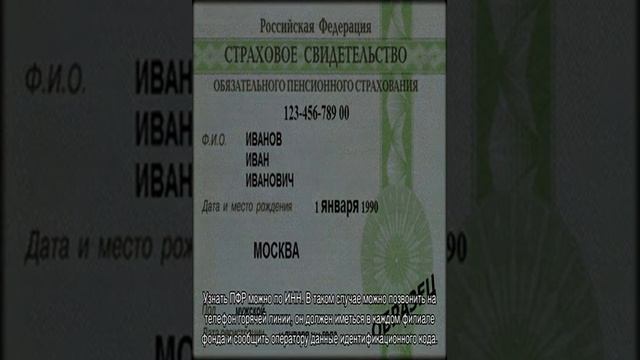 Регистрационный номер в Пенсионном фонде Российской Федерации смотреть онлайн