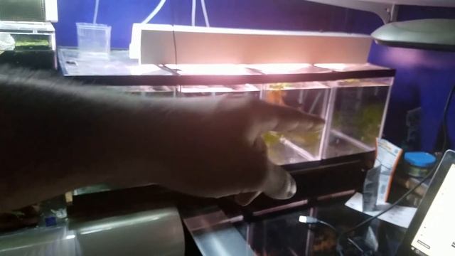 Update and Cleaning The Tanks смотреть онлайн